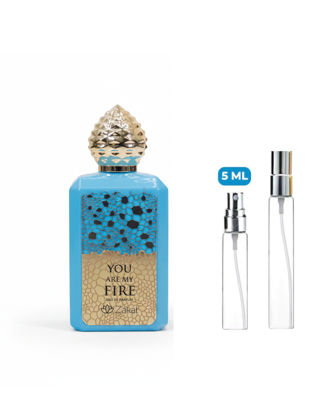 DECANT ZAKAT ARE YOU MY FIRE