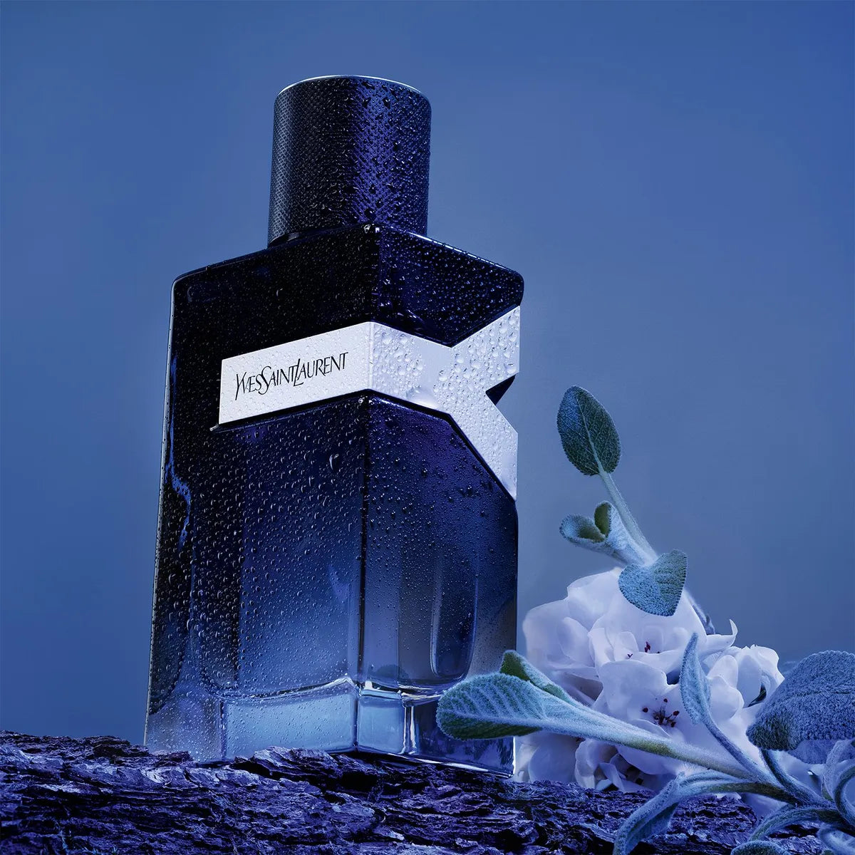 YVES SAINT LAURENT - Y EDP