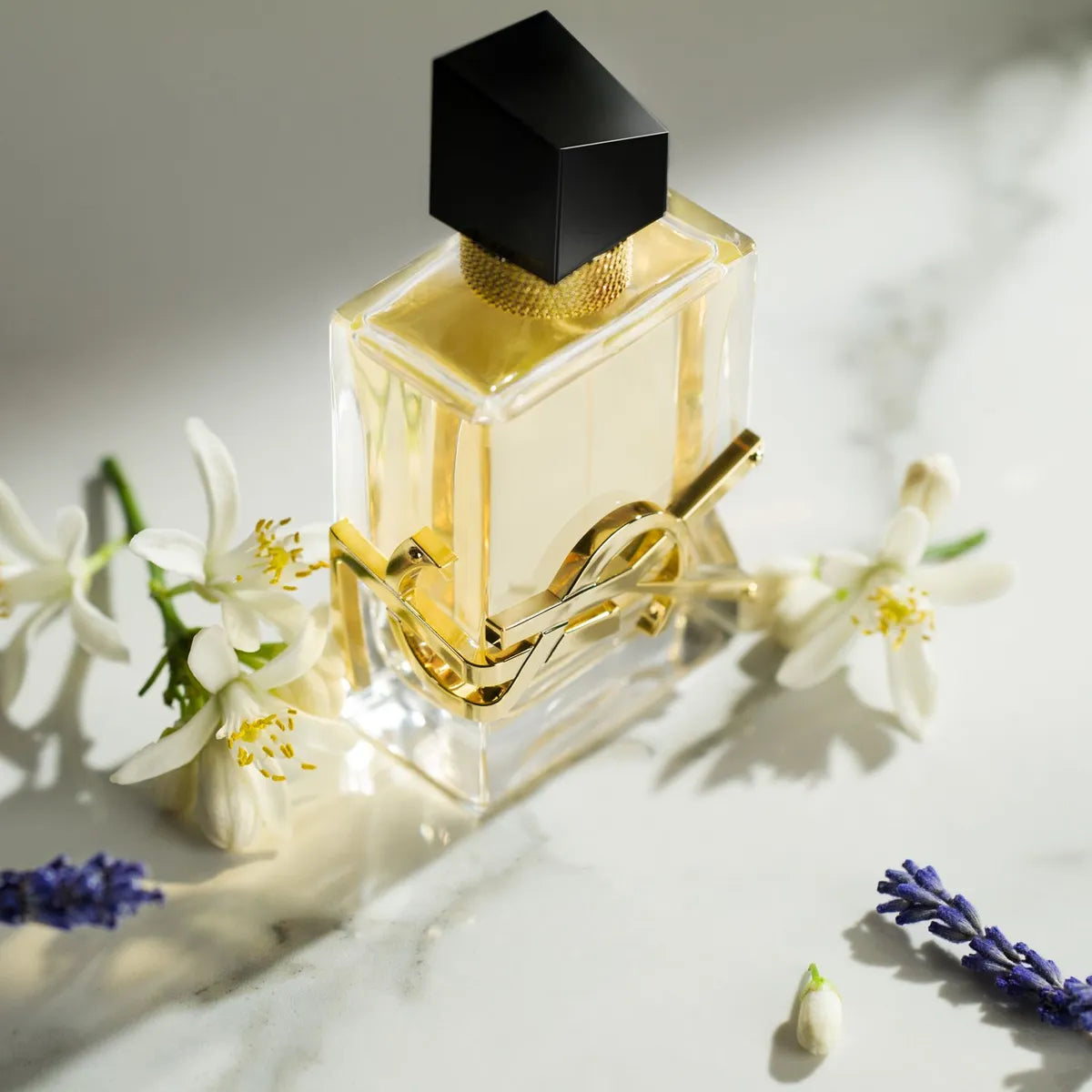 DECANT YVES SAINT LAURENT - LIBRE EDP