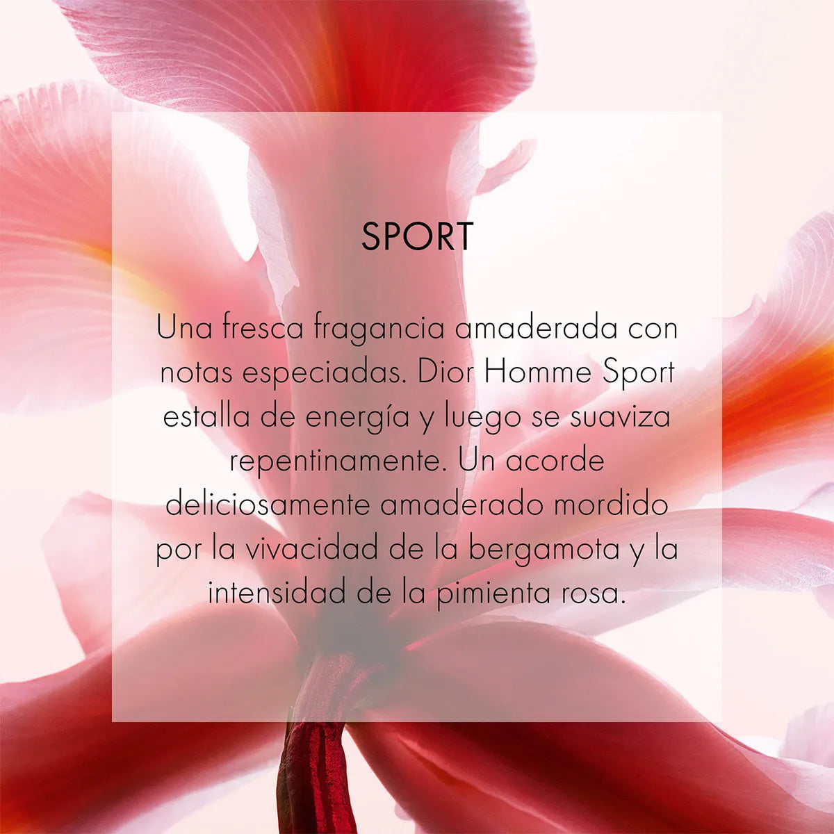 DECANT DIOR HOMME SPORT