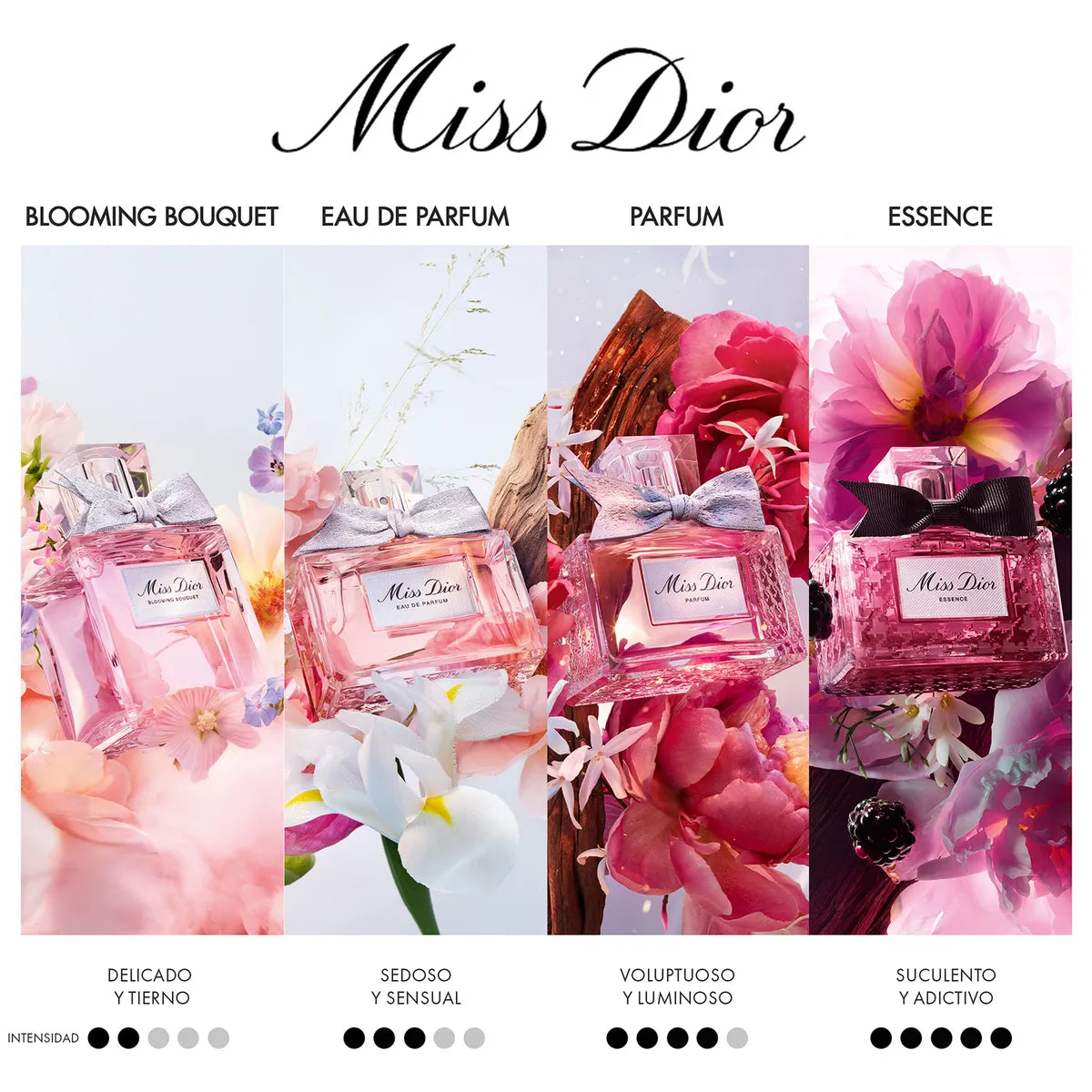 DECANT MISS DIOR